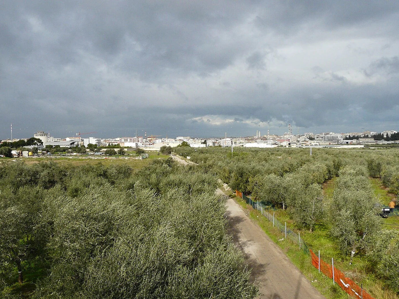 Immagine editoriale del territorio di Andria, in provincia di Barletta-Andria-Trani